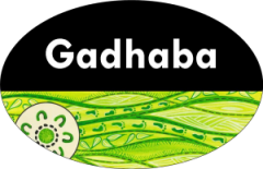 cropped-GLIN-Logo-2-300x194-1.png