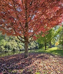 Bin 10 Side (10 High Str) F.Weiss.jpg