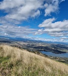 Bin 20 Side (35 Highett St) F.Weiss.jpg