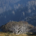 Bin 7 Side (86 High St) N.Beautyman Adjust for Portrait.jpg