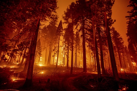 210818-caldor-fire-ew-1148a.jpg