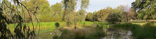 GVRT-Mullum-Wetlands-3.1100x275.jpg