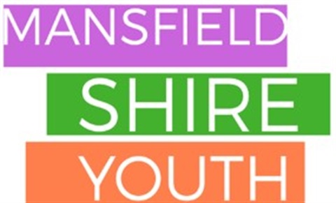 Mansfield Shire Youth Logo