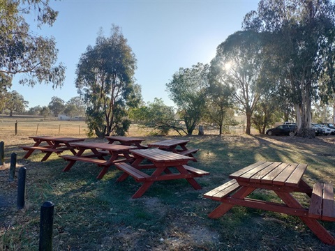 Community Spirit and Hard Work Refresh Shire's Public Spaces - Image 3.jpg