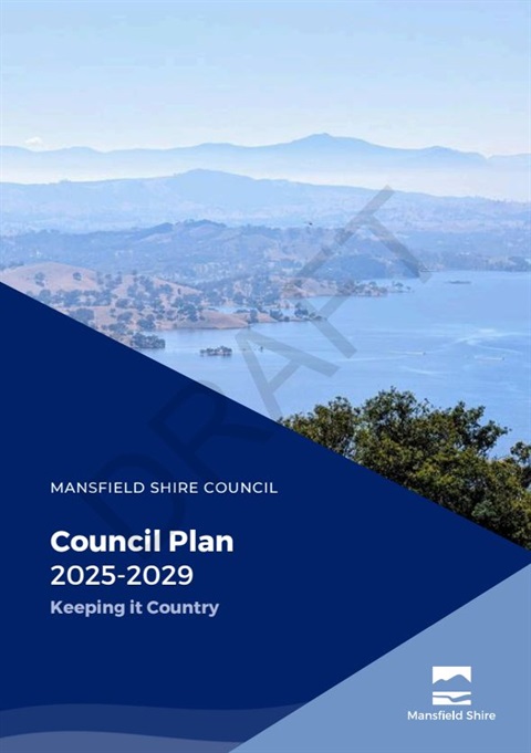 council plan.JPG