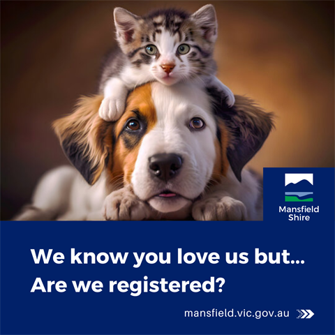 Dog Cat Rego fb tile.png