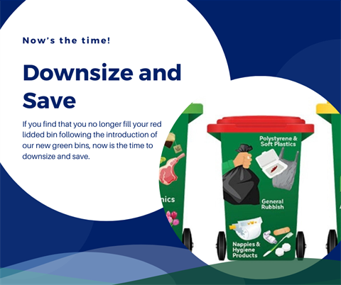 Downsize bin fb tile.png