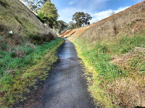 Flood Damaged Gravel Footpath.png