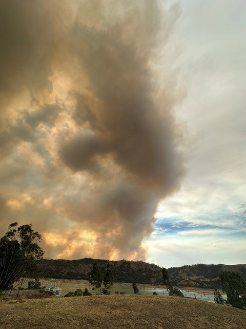 image 2 - Bonnie Doon Solar.jpg