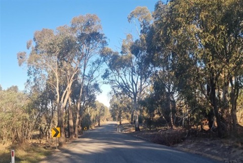 Rifle Butts Road upgrades firing ahead - Image 1.jpg