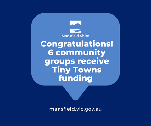 Tiny Towns funding FB tile.png