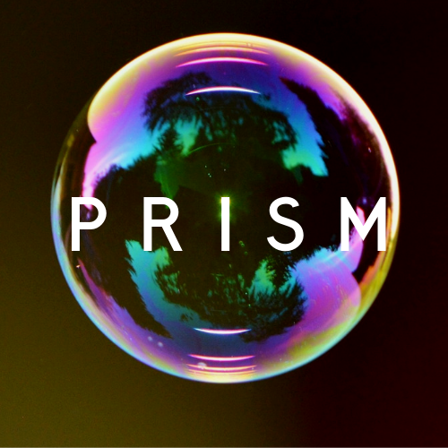 Prism logo - no details.png