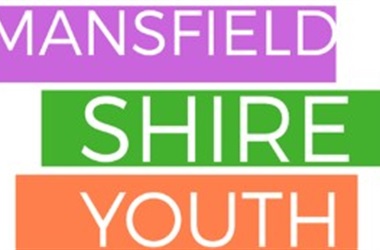 mansfield youth logo