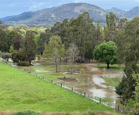 Flood Study Image