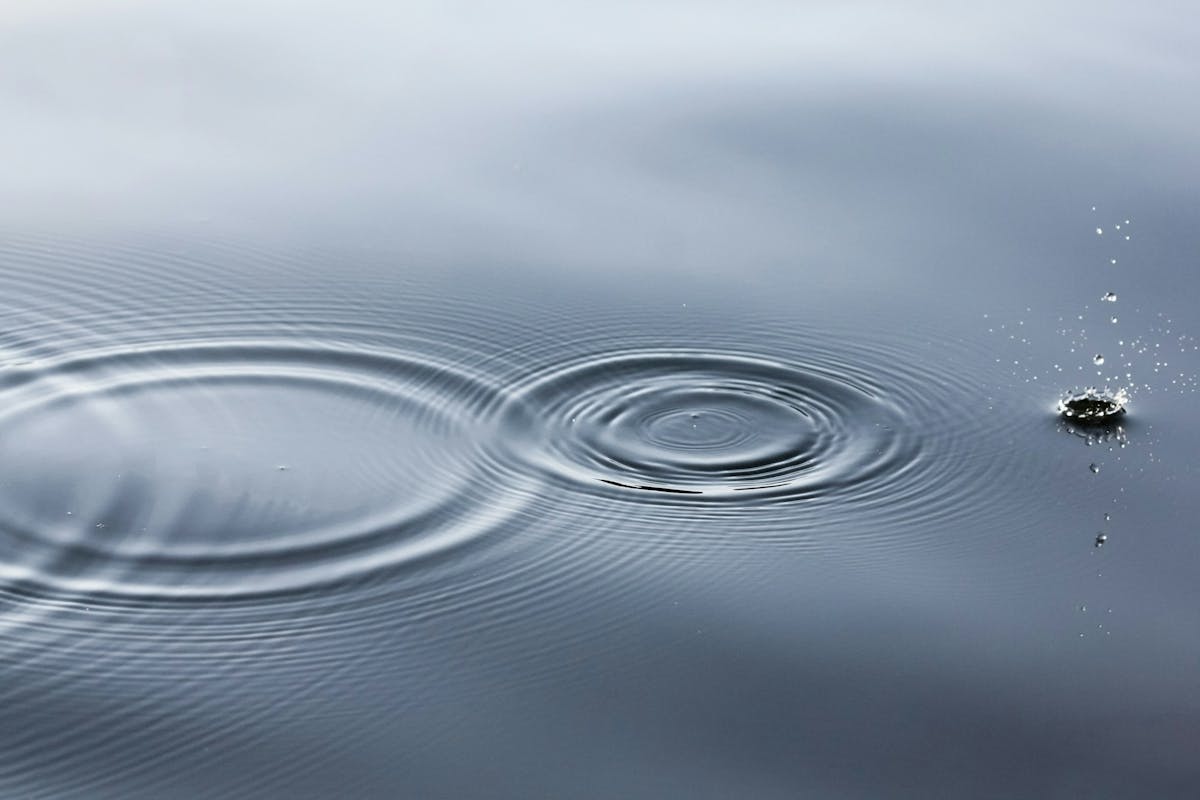 Water