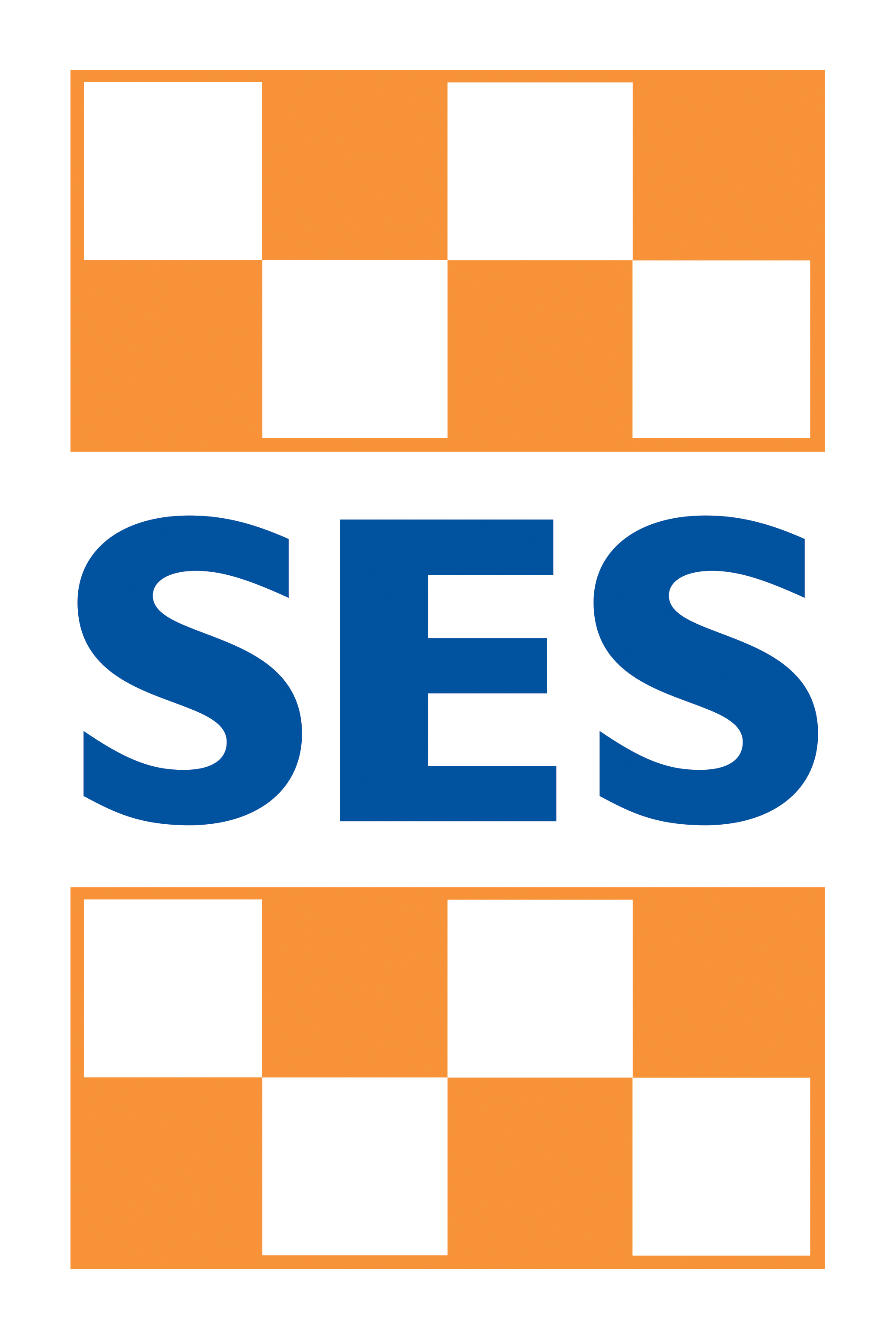 Vic ses logo