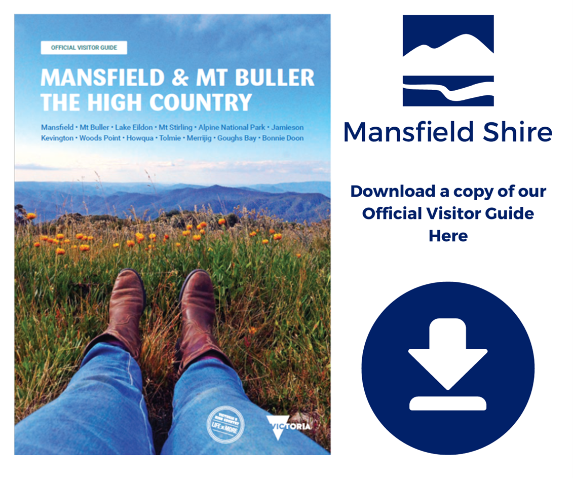 Mansfield & MT Buller The High Country