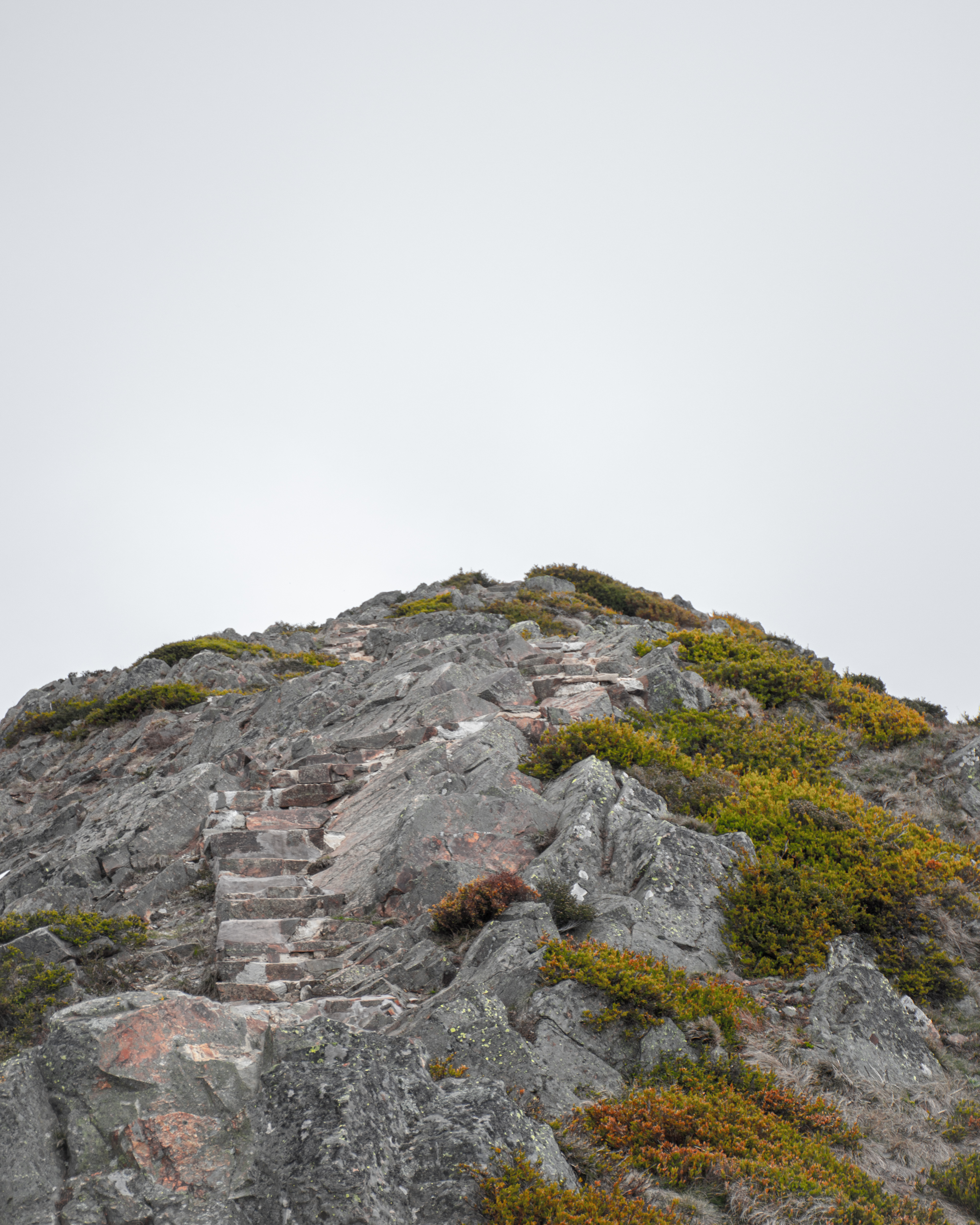 bin-14-side-95-97-high-st-summit-climb-a.jones-hres