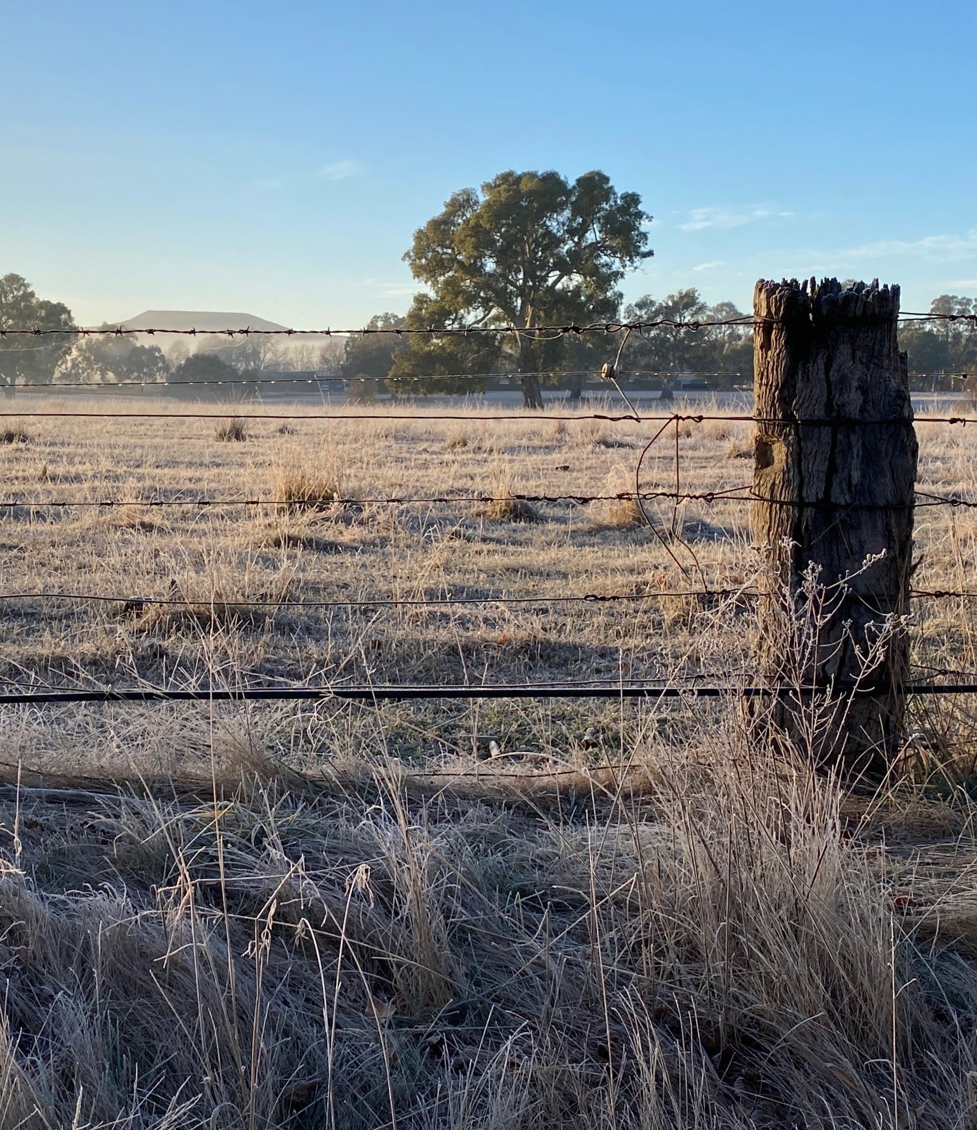 bin-3-side-45-high-st-fence-k.ruddick