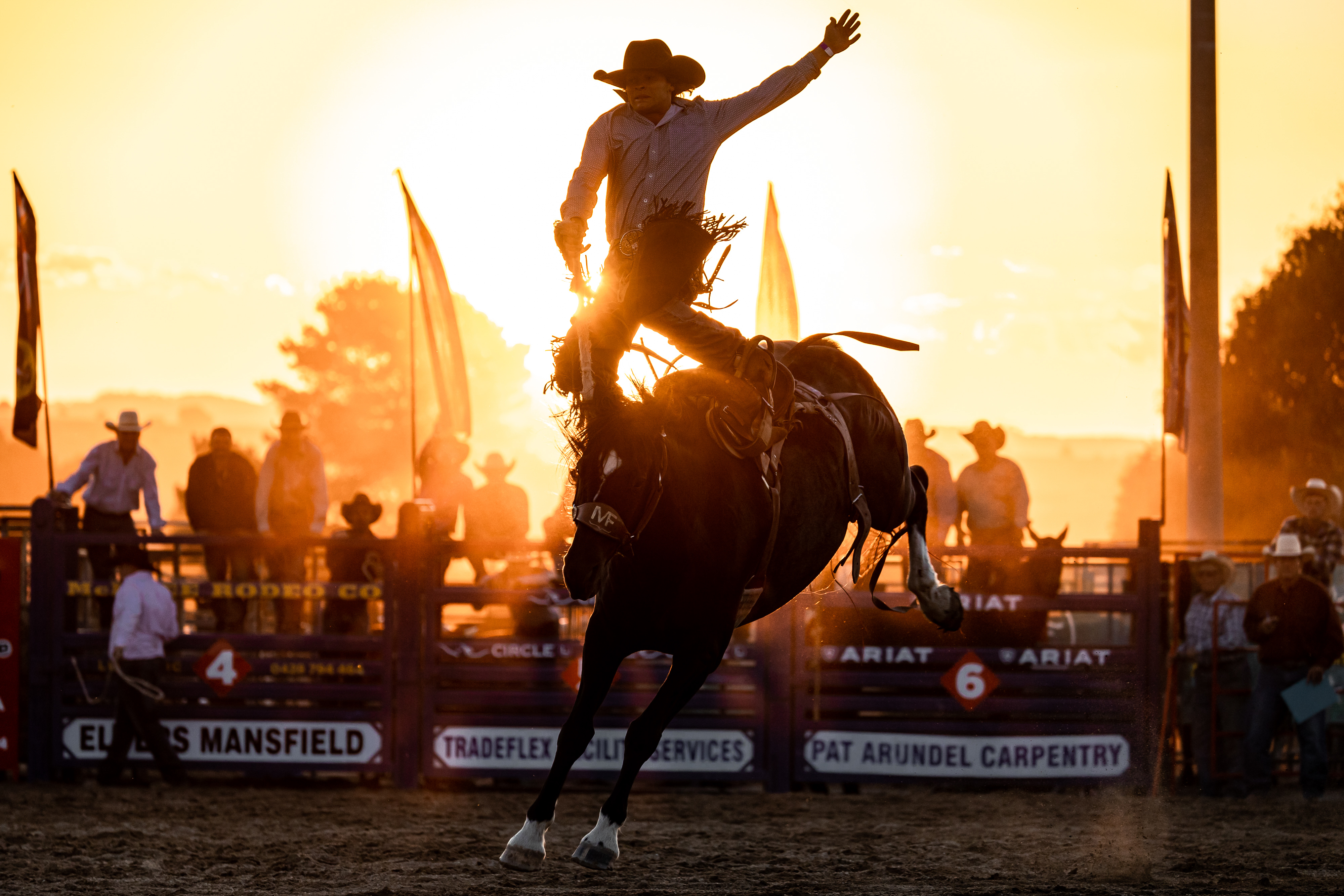 bin-6-side-93-high-st-merrijig-rodeo-s.hughes