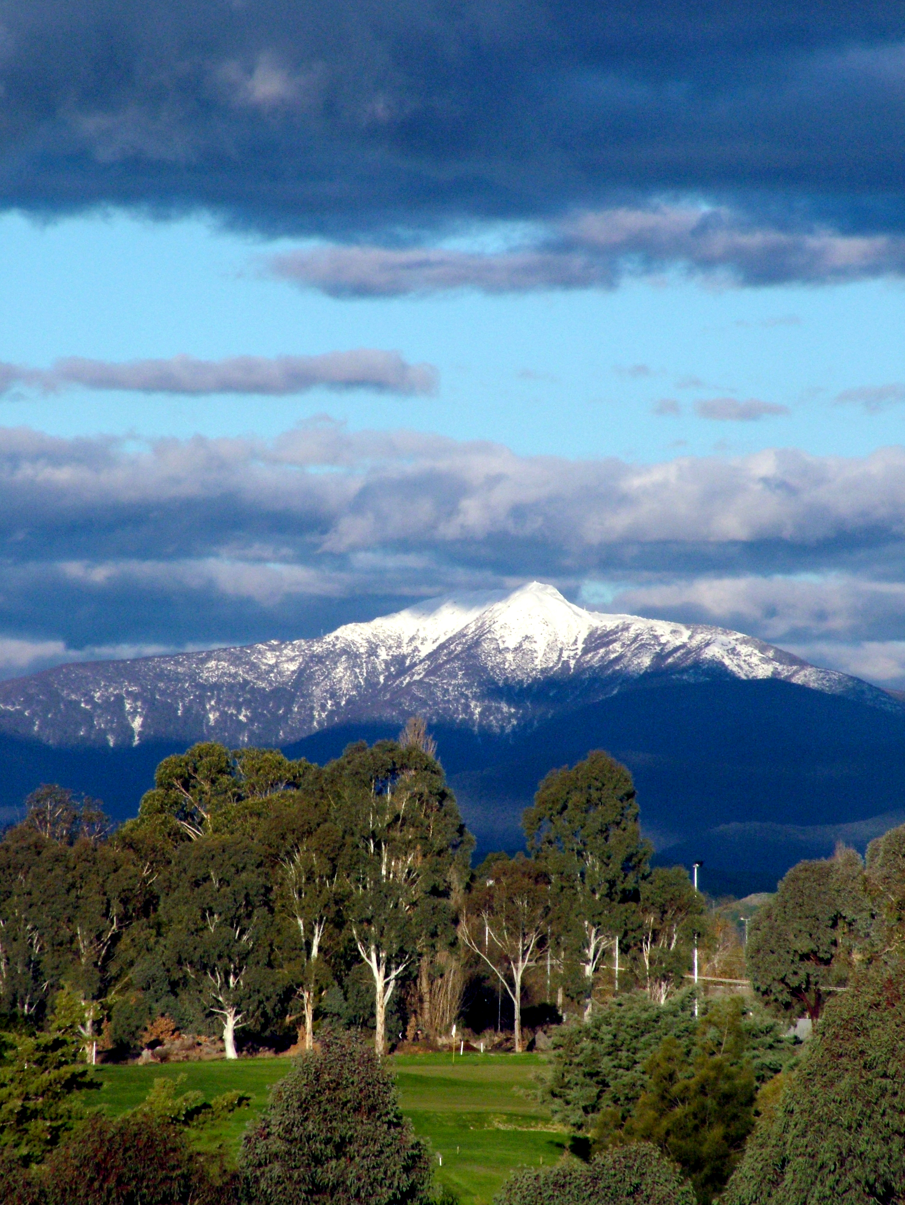 bin-7-side-86-high-st-mt-buller-e.mcpherson