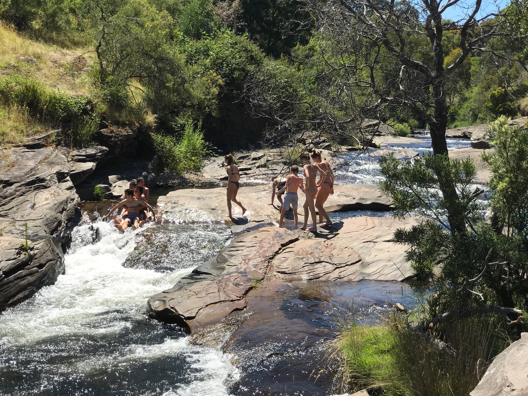 Delatite River.jpg