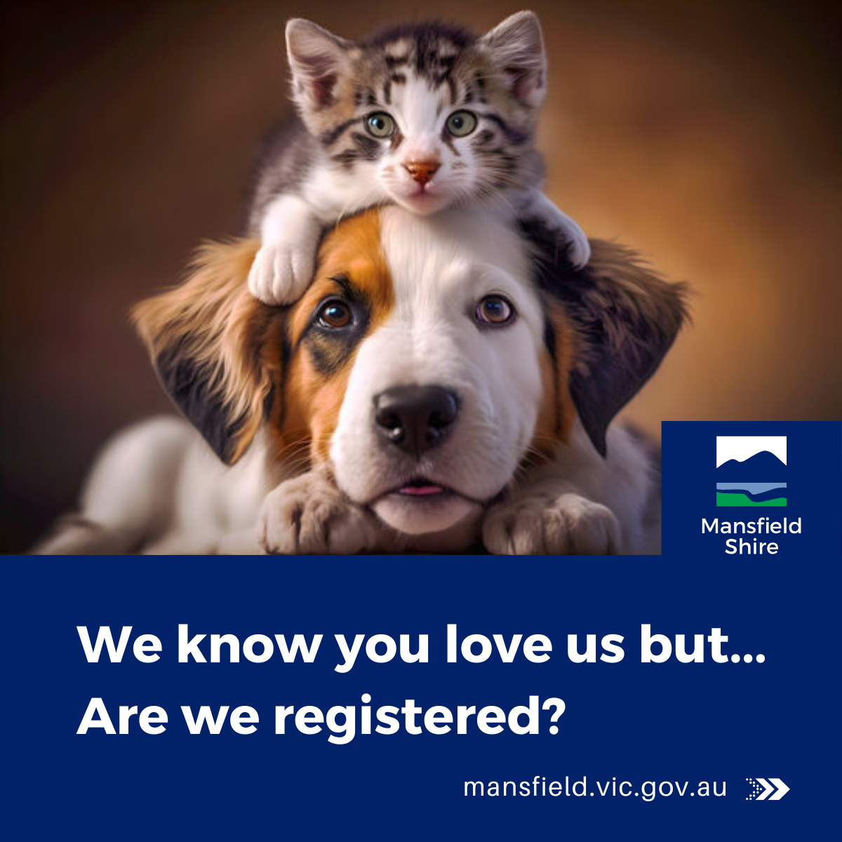 Dog Cat Rego fb tile.png