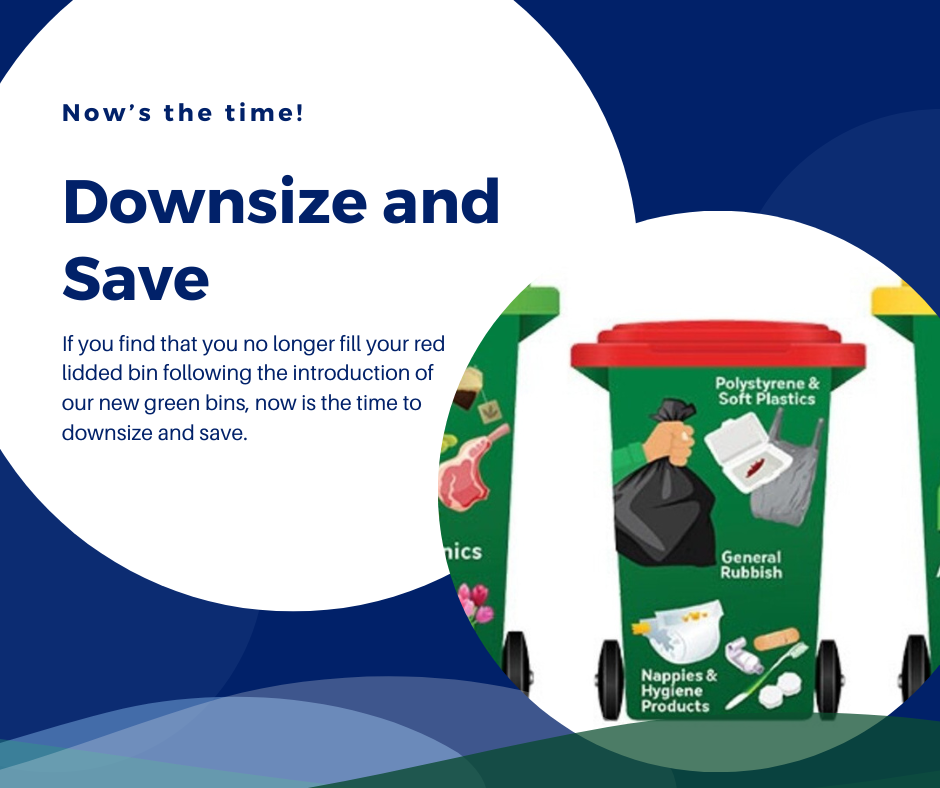 Downsize bin fb tile.png