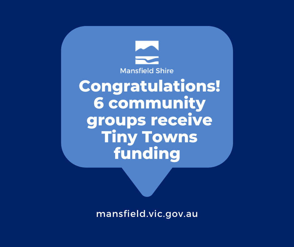 Tiny Towns funding FB tile.png