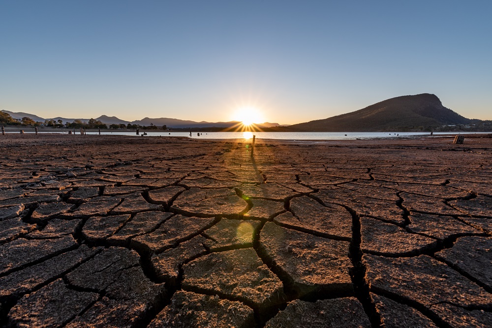 drought.jpeg