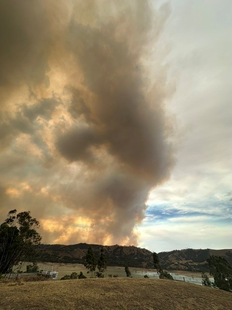 image 2 - Bonnie Doon Solar.jpg